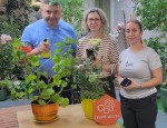 Мобилограф: снимаем лето на фотоплёнку